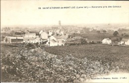 44 - SAINT ETIENNE DE MONT LUC - Très Beau Panorama Pris Des Côteaux - Saint Etienne De Montluc