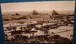 Pyramids During The Nile Flood.Cpsm,neuve,be - Piramiden