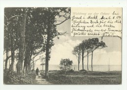 Graal ?   *  Waldweg An Der Ostsee - Graal-Müritz