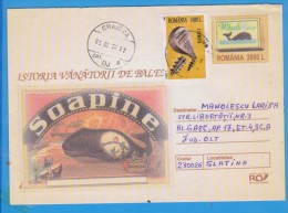 WHALE HUNTING STATIONERY  ROMANIA 2003 - Wale