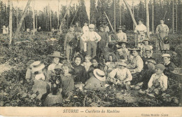 Seurre : Cueillette Du Houblon - Sonstige & Ohne Zuordnung