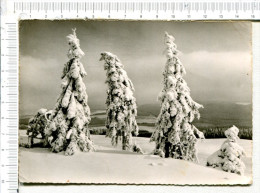 OBERHARZ   -  Panorama  - - Oberharz