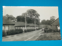 59) Raismes - Sabatier - Avenue Du Pinson   (  Carte Photo ) Année 1951 - EDIT- Dutrone - Raismes