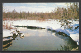 USSR, Winter Landscape, 1980. - Tamaño Pequeño : 1971-80