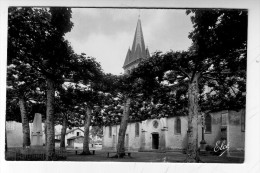 CPSM Saint Vincent De Tyrosse église Monument Aux Morts - Saint Vincent De Tyrosse