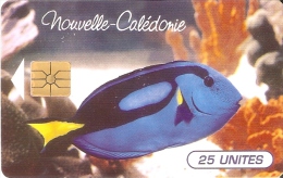 TARJETA DE NUEVA CALEDONIA DE 25 UNITES DE UN PEZ CHIP G-1 (FISH)  TIRADA 100000 DEL 11/95 - New Caledonia