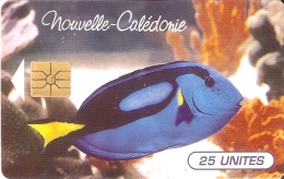 TARJETA DE NUEVA CALEDONIA DE 25 UNITES DE UN PEZ (FISH) - Nueva Caledonia