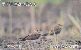 RARE Carte Ancienne Japon - OISEAU Passereau - GLAREOLE ORIENTALE - BIRD Japan Prepaid Card - Vogel Karte - 3462 - Zangvogels