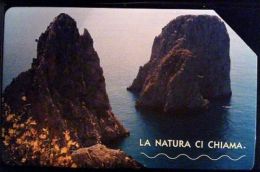 SCHEDA TELEFONICA TELECOM USATA - LA NATURA CI CHIAMA - I FARAGLIONI DI CAPRI - EURO 2,50 - SCADENZA 31/12/04 - Publiques Thématiques