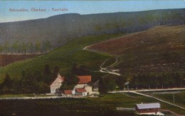 Germany/Lower Saxony - Postcard Unused -Hahnenklee,Oberharz - Auerhahn - 2/scans - Oberharz