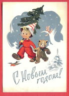 153314 / 1961 - NEW YEAR Christmas - Buratino  BEAR Squirrel TREE BIRD - Stationery Entier Russia Russie - 1960-69