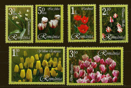 Roumanie ** N° 5083 à 5088 - Fleurs - Unused Stamps