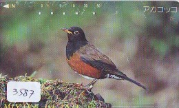 Telecarte Japon OISEAU (3587)  SINGING BIRD * JAPAN Phonecard * Vogel TELEFONKARTE - Pájaros Cantores (Passeri)