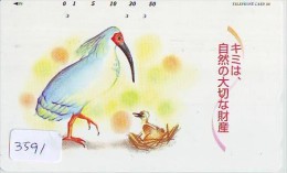 Telecarte Japon OISEAU (3591)    BIRD * JAPAN Phonecard * Vogel TELEFONKARTE - Pájaros Cantores (Passeri)