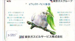 Telecarte Japon OISEAU (3595)    BIRD * JAPAN Phonecard * Vogel TELEFONKARTE - Songbirds & Tree Dwellers