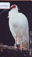 Telecarte Japon OISEAU (3599)    BIRD * JAPAN Phonecard * Vogel TELEFONKARTE - Songbirds & Tree Dwellers