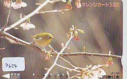Carte Prépayée Japon* OISEAU (3607)    BIRD * JAPAN Prepaidcard * Vogel KARTE - Pájaros Cantores (Passeri)