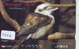 Carte Prépayée Japon* OISEAU (3608)    BIRD * JAPAN Prepaidcard * Vogel KARTE - Passereaux