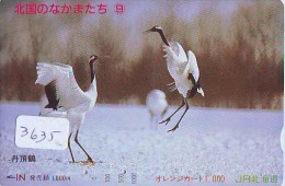 Telecarte Japon OISEAU (3635)  GRUE - Couple En Parade Sur HOKKAIDO * CRANE BIRD Japan Phonecard * KRANICH Vogel TK - Gallinaceans & Pheasants