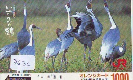 Telecarte Japon OISEAU (3636)  GRUE - Couple En Parade Sur HOKKAIDO * CRANE BIRD Japan Phonecard * KRANICH Vogel TK - Galline & Gallinaceo