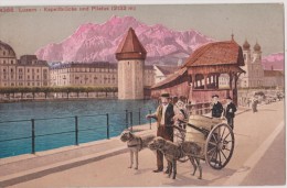 SUISSE,SCHWEIZ,SVIZZERA,H ELVETIA,SWISS,SWITZERLAND ,LUCERNE EN 1900,attelage De Chien,transport Du Vin - Lucerna