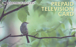 Carte Prépayée Japon - ANIMAL - OISEAU GOBEMOUCHE - FLYCATCHER BIRD Japan Prepaid Card -  VOGEL Karte - 3483 - Songbirds & Tree Dwellers