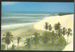 JERICOACOARA Brasil Dunas Da Praia Beach Fortaleza 1991 - Fortaleza