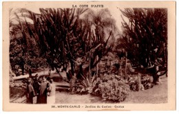 MONACO  MONTE CARLO Le Jardin Du Casino  Cactus   Belle Carte écrite Timbrée  Animation - Jardin Exotique