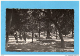 MARSEILLE- Quartier De Sainte Marthe- Les Jardins Du Camp-militaires Dans L'allée-animée -années40-50 - Quartiers Nord, Le Merlan, Saint Antoine