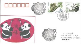 AUSTRALIE-CHINE, émission Commune Le Panda & Koala, Belle Lettre FDC 1995 Adressée à Singapour - Covers & Documents