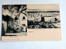 Carte Postale Ancienne : DAMAS , DAMASCUS : La Grande Platane , Vue De Damas Et Salahie - Syrie