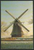 KRIMSTERMOLEN Te Zuidwolde Drenthe Nederland 2000 - Andere & Zonder Classificatie