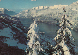 3567- WALENSEE LAKE PANORAMA, MOUNTAINS, POSTCARD - Otros & Sin Clasificación