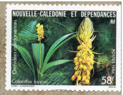 NOUVELLE-CALEDONIE : Orchidées Calédoniennes : Calanthe Langei - Fleurs - Flore - - Gebruikt