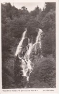 AK Todtnau - Wasserfall I.W. (Schwarzwald) (9453) - Todtnau