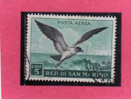 SAN MARINO 1959 POSTA AEREA AIR MAIL FAUNA AVICOLA BIRDS UCCELLI GABBIANO LIRE 5 USATO USED - Luftpost