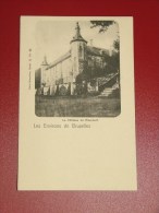 RIXENSART  -  Le Château De Rixensart   -  (2 Scans) - Rixensart