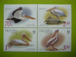 Ukraina 2007  Great White Pelicans Birds **  MNH 4st. - Pelícanos