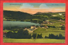 * SCHWARZWALD Am Titisee ( Voir Timbre DEUTSCHES REICH ) - Hochschwarzwald