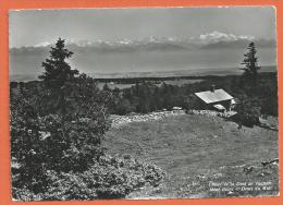 Oct246, Chalet De La Dent De Vaulion, Mont-Blanc Et Dents Du Midi, GF, Non Circulée - Vaulion