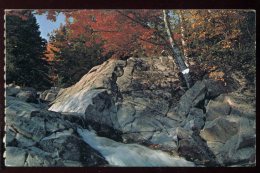 CPM Canada CAP BRETON ISLAND Mac Leod's On The Famous Cabot Trail - Cape Breton