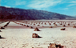 DEATH VALLEY - THE BORAX GARDENS (California) - Vallée De La Mort - Jardin Des Mines De Borax -Californie - 2 Scans - Death Valley