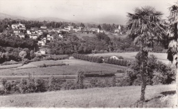 CAMBO-LES-BAINS   -  VUE  GÉNÉRALE  PRISE DE  CELHAYA --CPSM - Cambo-les-Bains