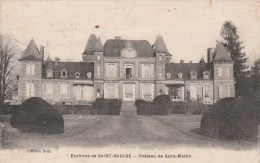 SAINT-SAULGE (Nièvre) - Environs - Château De Saint-Martin - Other & Unclassified