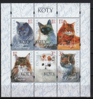 Poland 2010. Animals / Cats Sheet MNH (**) - Unused Stamps