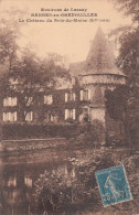 53 - ENVIRONS LASSAY - RENNES EN GRENOUILLES / CHATEAU DU BOIS DU MAINE - Lassay Les Chateaux