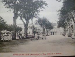 CPA Martinique Fort De France Une Allée De La Savane Cachet Maritime Partiel Ligne D Au Dos. Edition Le Camus - Fort De France