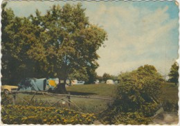 CPSM 49 LA MENITRE Le Camping Au Bord De La Loire - Les Ponts De Ce