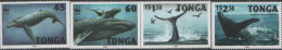 Tonga. Humpbuack Whale. 1996. MNH Set Slightly WRINKLED. SCV = 21.10 - Walvissen