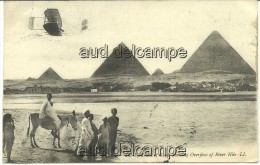 EGYPTE, The Pyramids, Avion, Ane - Cairo